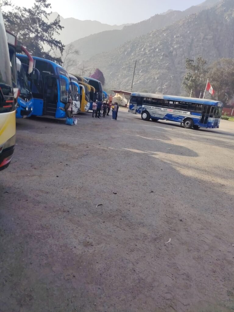 Foto 6 del servicio